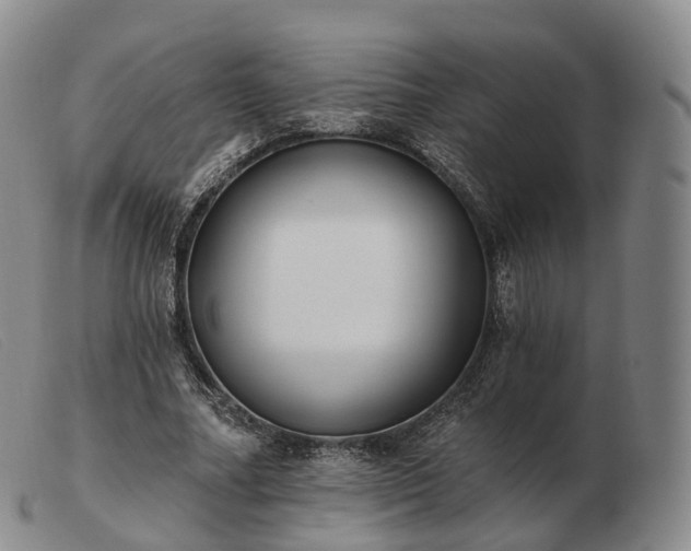 X0000103470682200809191836