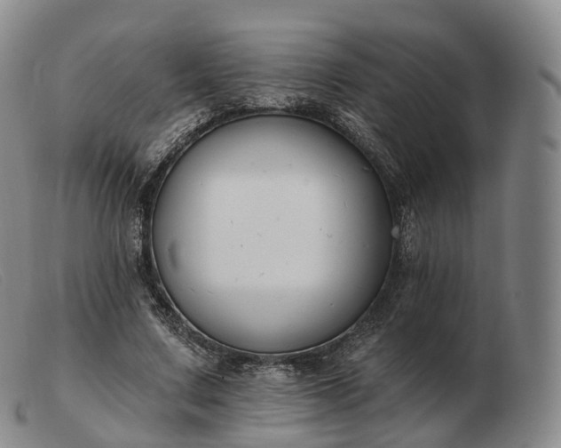 X0000103470683200809191836