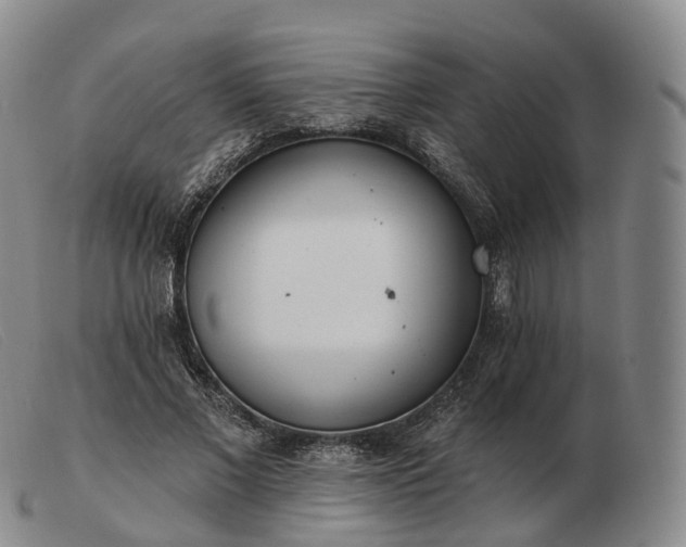 X0000103470685200809191836