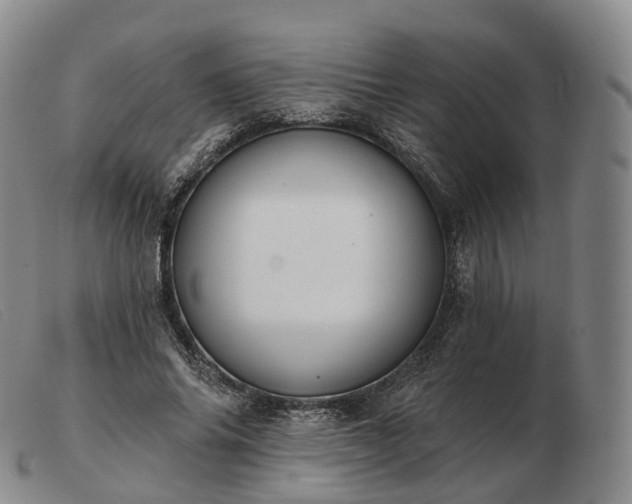 X0000103470686200809191836