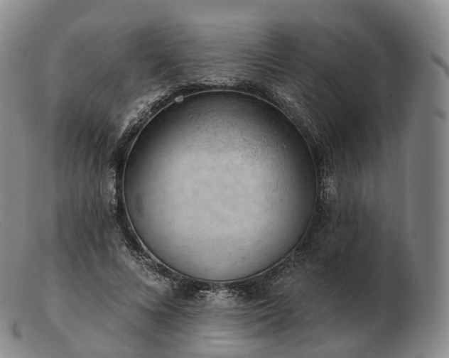 X0000103470688200809191836