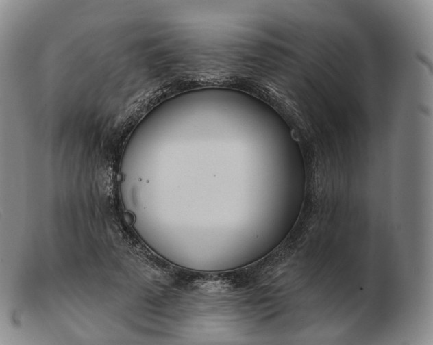 X0000103470689200809191836