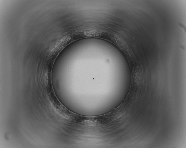 X0000103470690200809191836