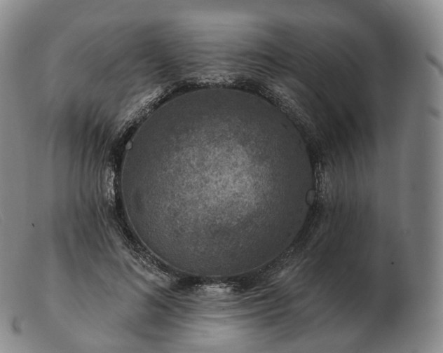 X0000103470692200809191836