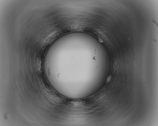 X0000103470693200809191836