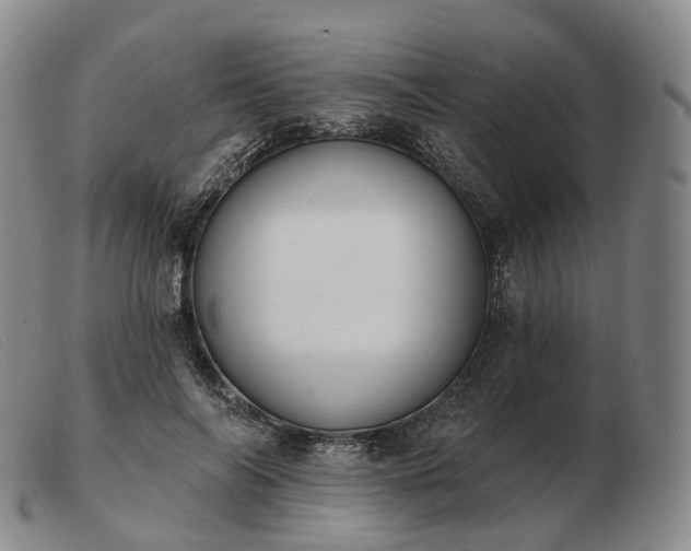 X0000103470694200809191836