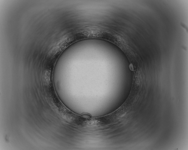 X0000103470695200809191836