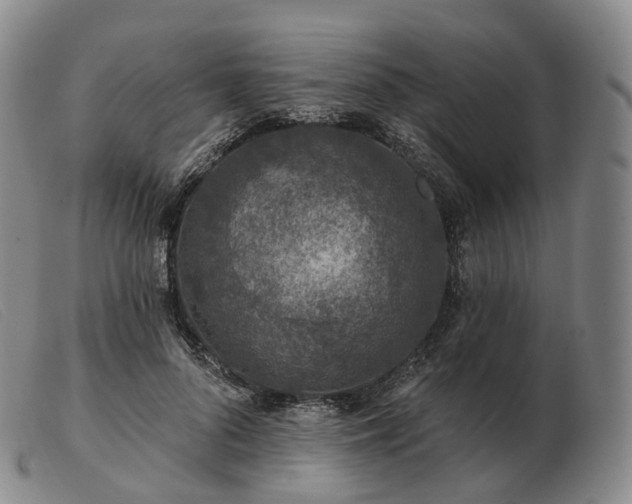 X0000103470696200809191836