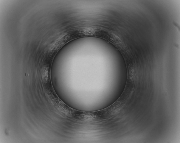 X0000103470697200809191836