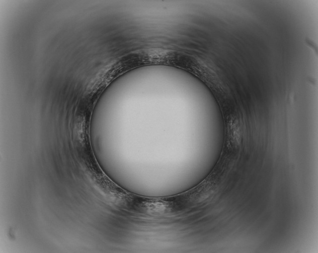 X0000103470698200809191836