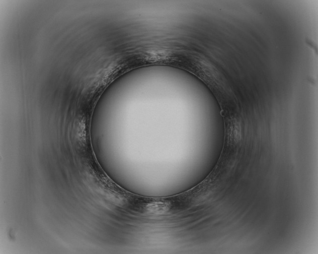 X0000103470700200809191835