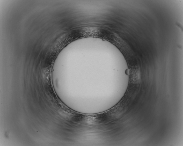 X0000103470701200809191835