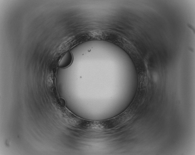 X0000103470702200809191835