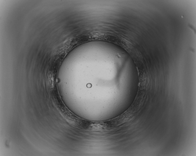 X0000103470703200809191835