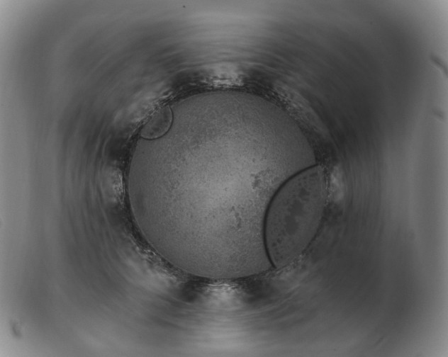 X0000103470704200809191835