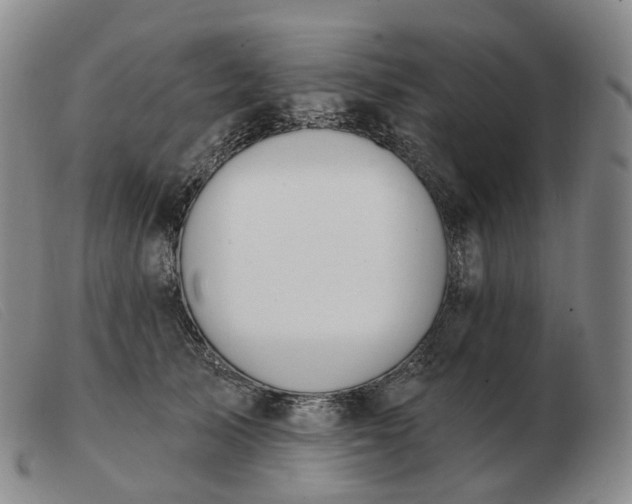 X0000103470705200809191835