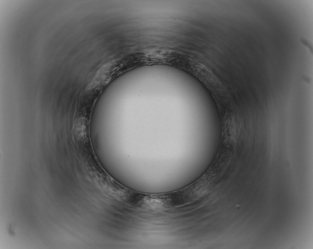 X0000103470706200809191835