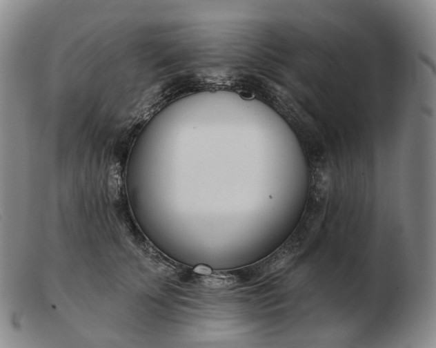 X0000103470707200809191835