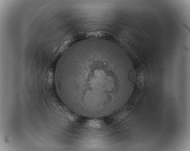 X0000103470708200809191835