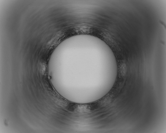 X0000103470709200809191835