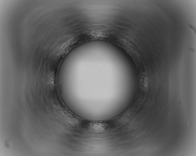 X0000103470710200809191835