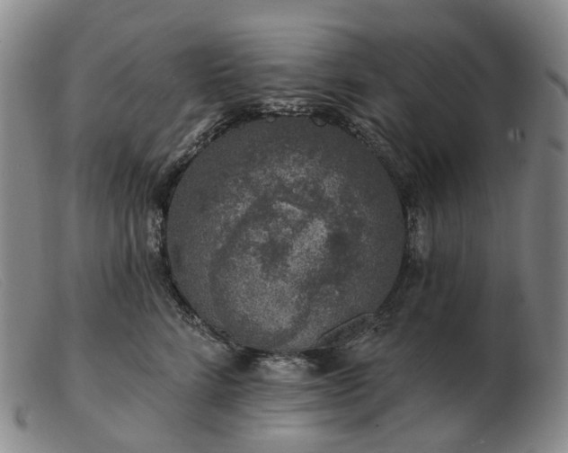 X0000103470712200809191835