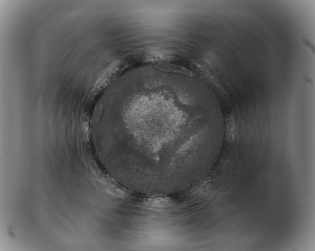 X0000103470716200809191835