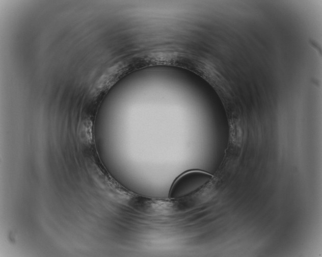 X0000103470718200809191835