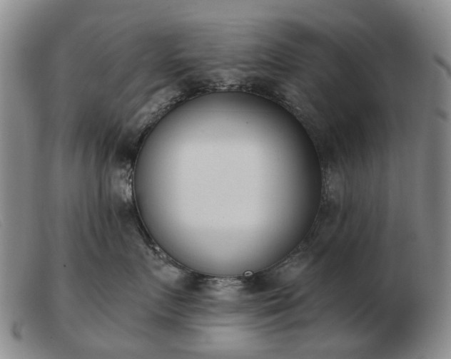 X0000103470719200809191835