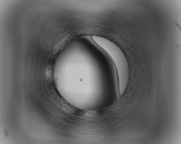 X0000103470720200809191835