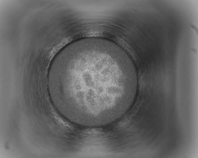 X0000103470721200809191835