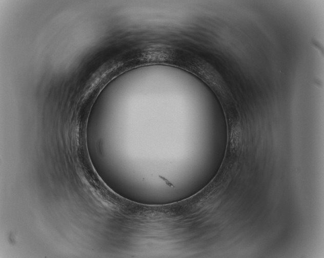 X0000103470722200809191835