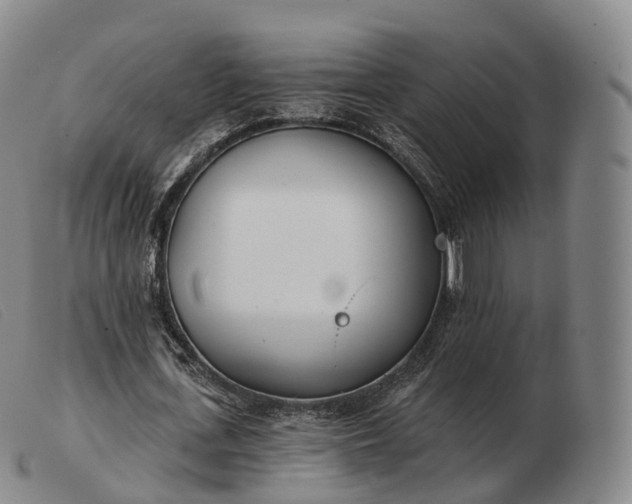 X0000103470723200809191835