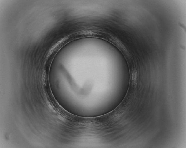 X0000103470724200809191835