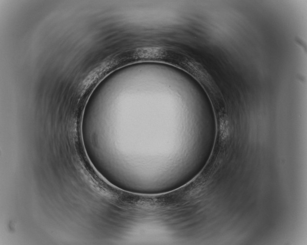 X0000103470725200809191835