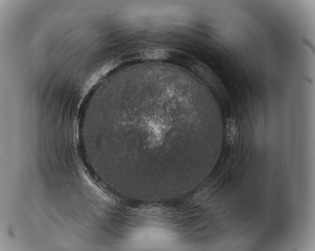 X0000103470726200809191835