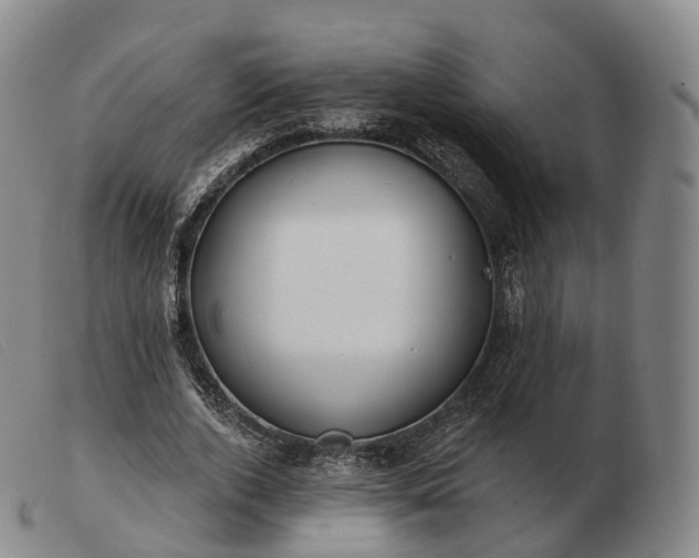 X0000103470728200809191835