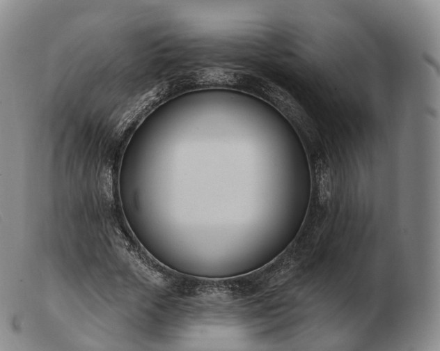 X0000103470729200809191835