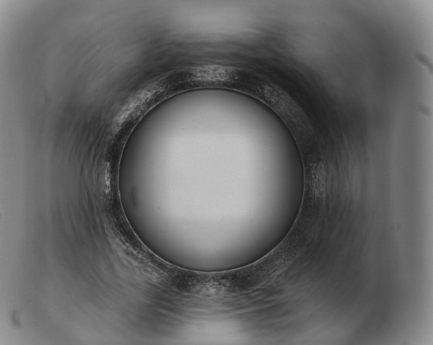 X0000103470731200809191835