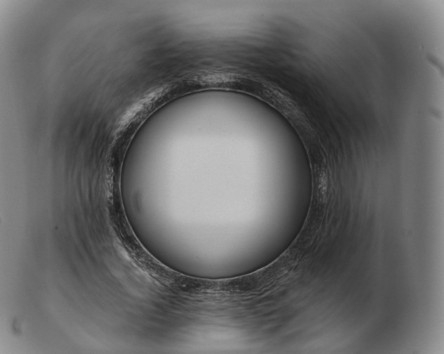 X0000103470732200809191835