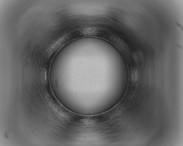 X0000103470733200809191835