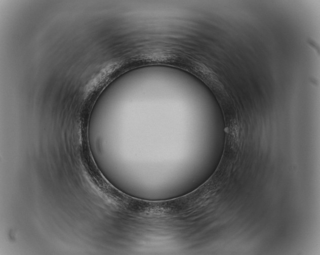 X0000103470734200809191835