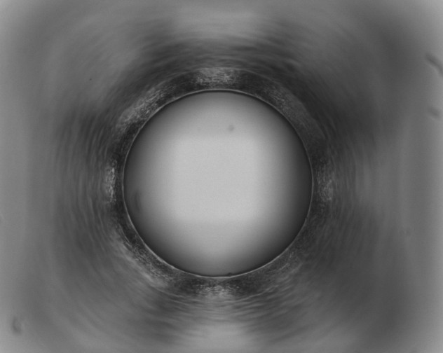 X0000103470735200809191835