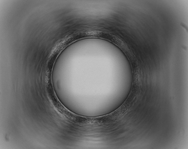 X0000103470736200809191835