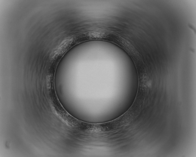 X0000103470738200809191835