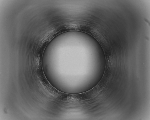 X0000103470739200809191835