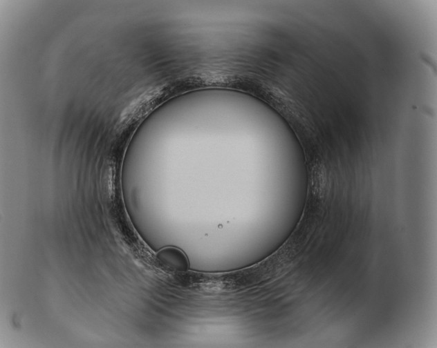 X0000103470740200809191835