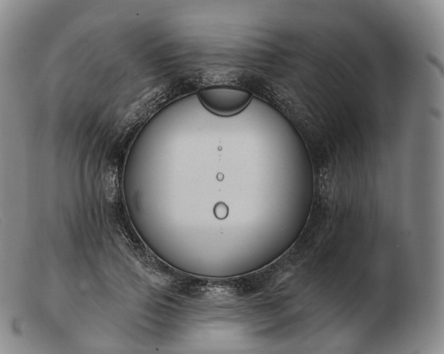 X0000103470741200809191835