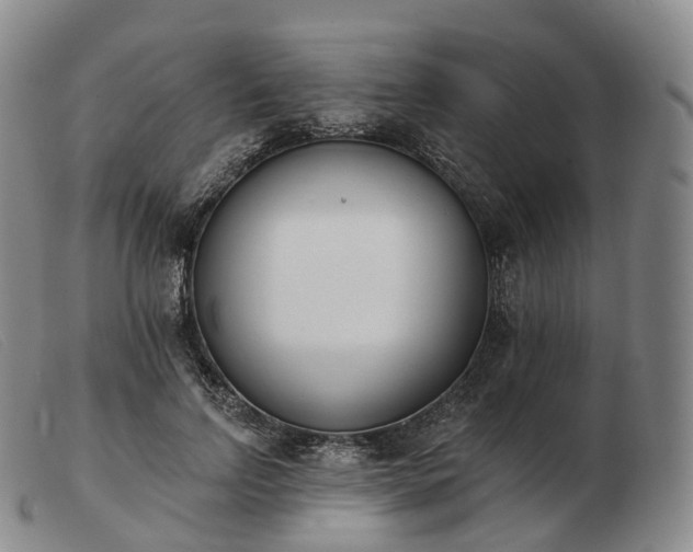 X0000103470742200809191835