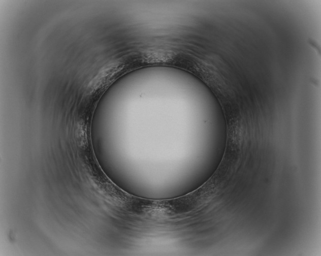 X0000103470743200809191835